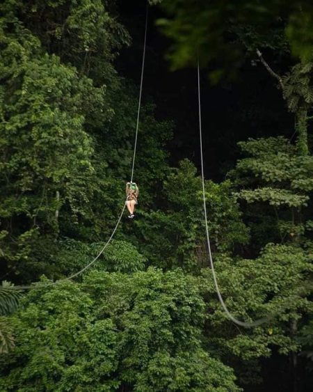 Tour Teleférico + La Mano Del Arenal + Canopy + Puentes Colgantes - Imagen 18