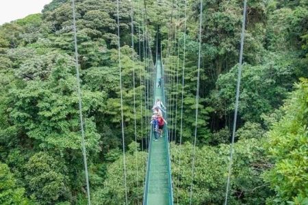 Tour Teleférico + La Mano Del Arenal + Canopy + Puentes Colgantes - Imagen 14