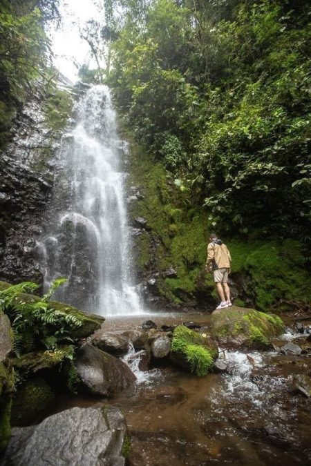Tour Teleférico + La Mano Del Arenal + Canopy + Puentes Colgantes - Imagen 10