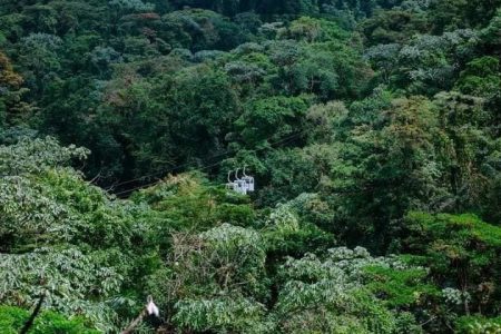 Tour Teleférico + La Mano Del Arenal + Canopy + Puentes Colgantes - Imagen 8