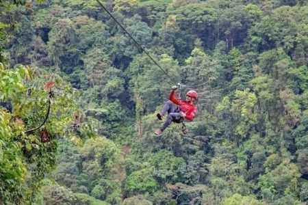 Tour Teleférico + La Mano Del Arenal + Canopy + Puentes Colgantes - Imagen 4