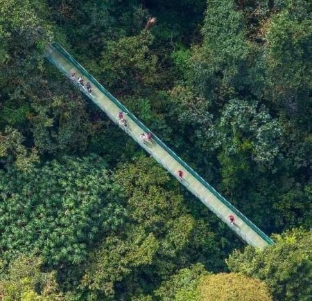 Tour Teleférico + La Mano Del Arenal + Canopy + Puentes Colgantes - Imagen 2