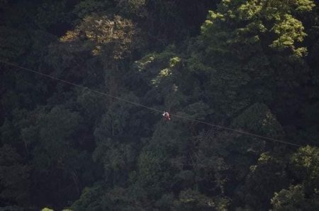 Tour Teleférico + La Mano Del Arenal + Canopy + Puentes Colgantes - Imagen 5