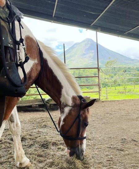 Tour A Caballo Al Volcán Arenal - Imagen 6