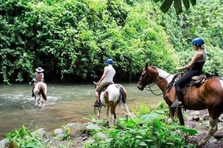 Tour A Caballo Al Volcán Arenal - Imagen 7