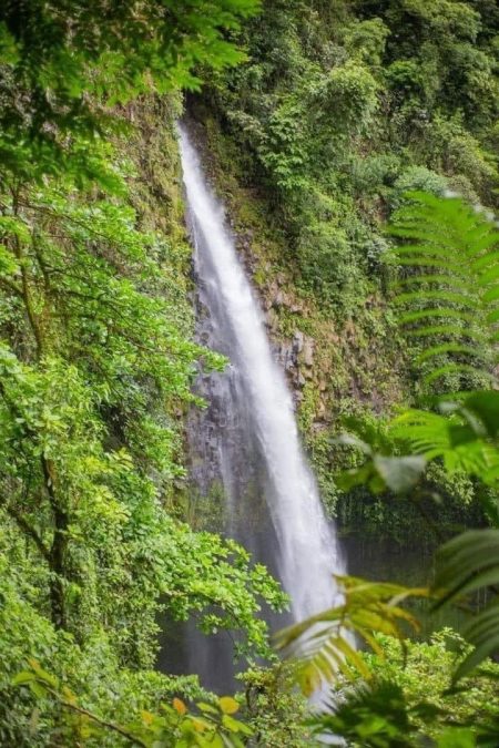 Tour A Caballo A La Catarata La Fortuna - Imagen 3