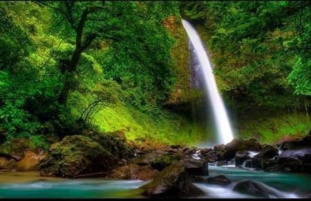 Tour A Caballo A La Catarata La Fortuna - Imagen 10