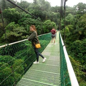 Tour De Puentes Colgantes