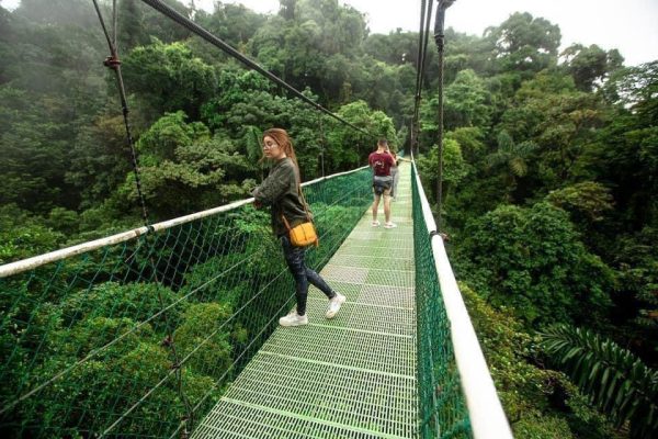 Tour De Puentes Colgantes