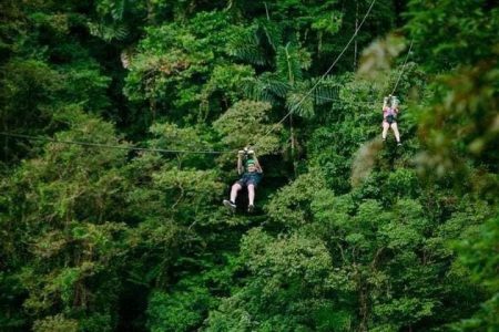 Tour Canopy + Teleférico + La Mano Del Arenal - Imagen 5