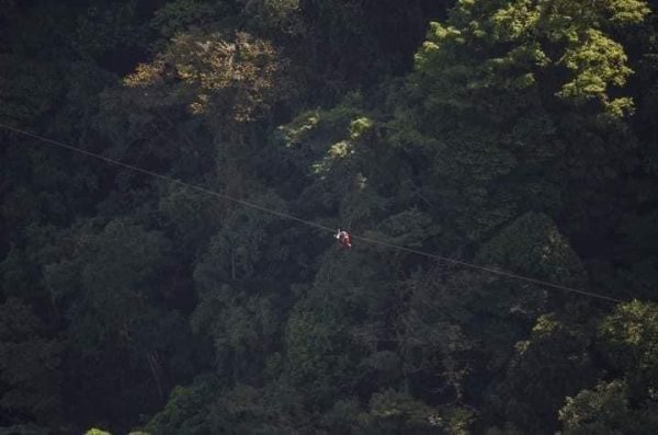 Tour Canopy + Teleférico + La Mano Del Arenal - Imagen 8