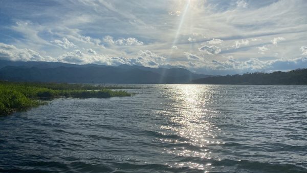 Boat ride on Lake Arenal - Imagen 24