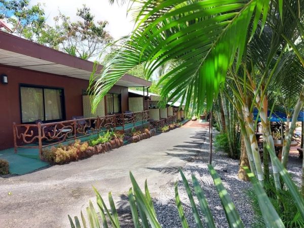 Hotel with hot springs - Imagen 20