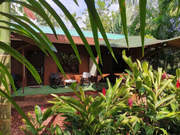 Hotel with hot springs - Imagen 19