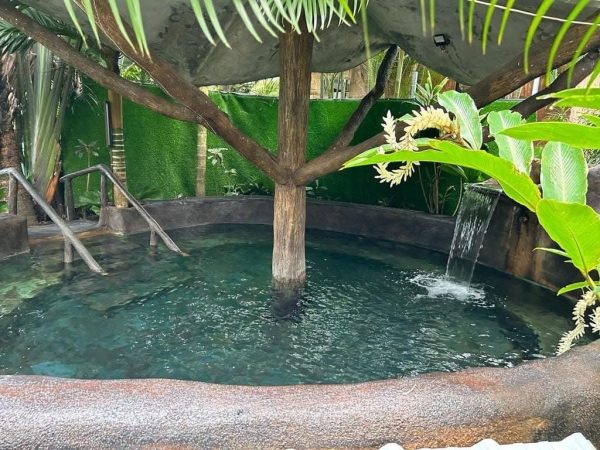 Hotel with hot springs - Imagen 11