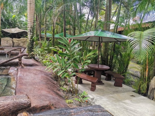 Hotel with hot springs - Imagen 9