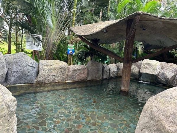 Hotel with hot springs - Imagen 8