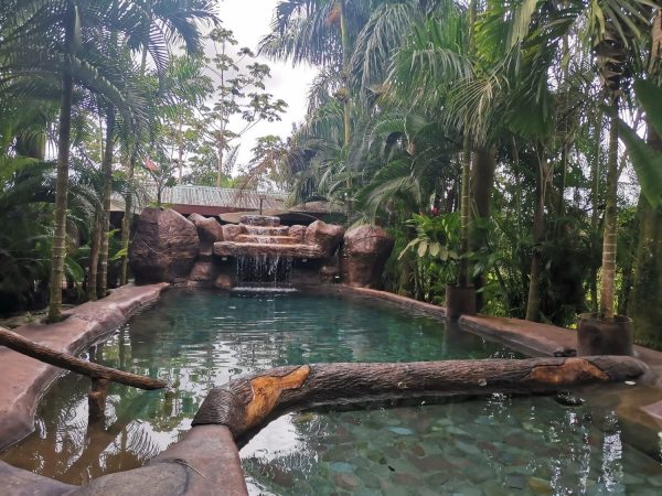 Hotel with hot springs - Imagen 6
