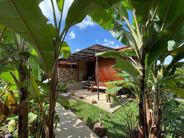 Cabin with jacuzzi and volcano view - Imagen 12