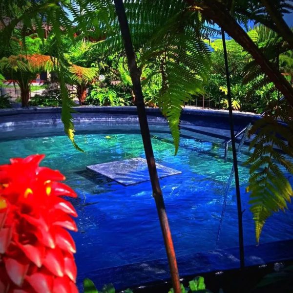 Ecotermales Hot Springs - Imagen 3
