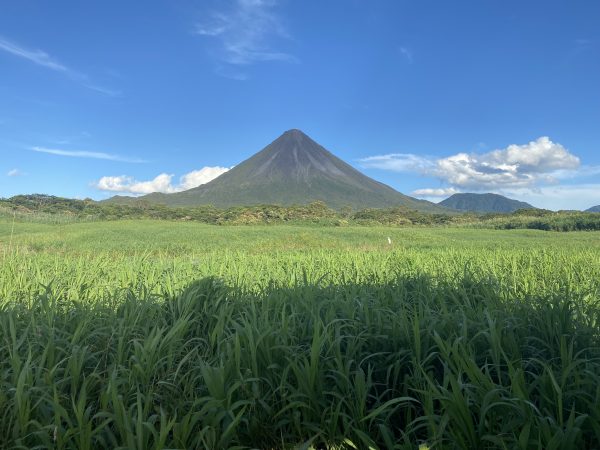Boat ride on Lake Arenal - Imagen 25