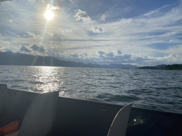 Boat ride on Lake Arenal - Imagen 19