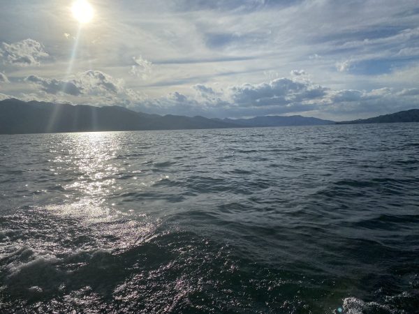 Boat ride on Lake Arenal - Imagen 11