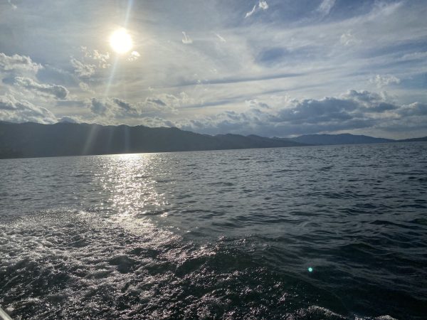 Boat ride on Lake Arenal - Imagen 17