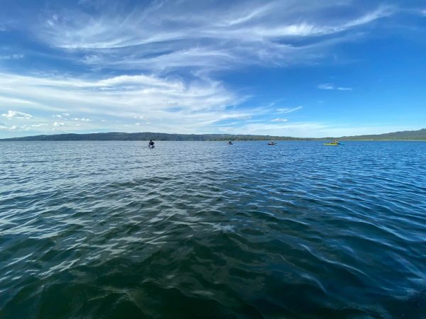 Boat ride on Lake Arenal - Imagen 14